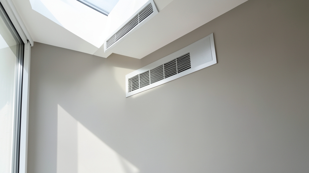 DIY Mold Removal in Canyon Lake