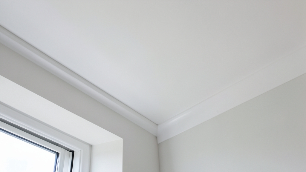 How to Mold-Proof Your Bathroom in Canyon Lake