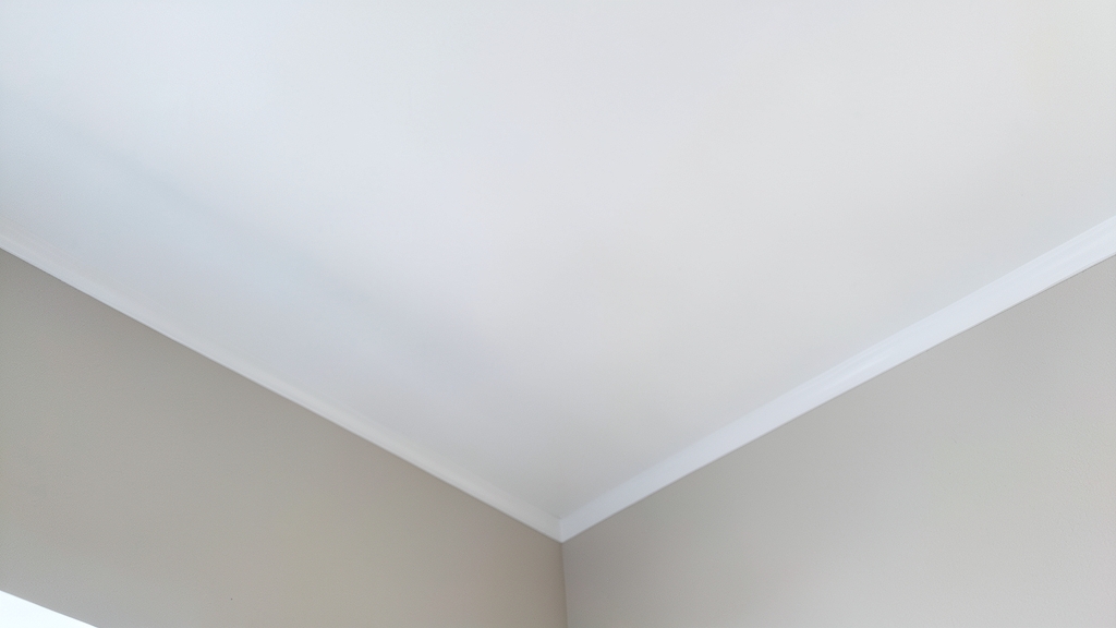 Understanding Mold Remediation Costs by Type in Canyon Lake