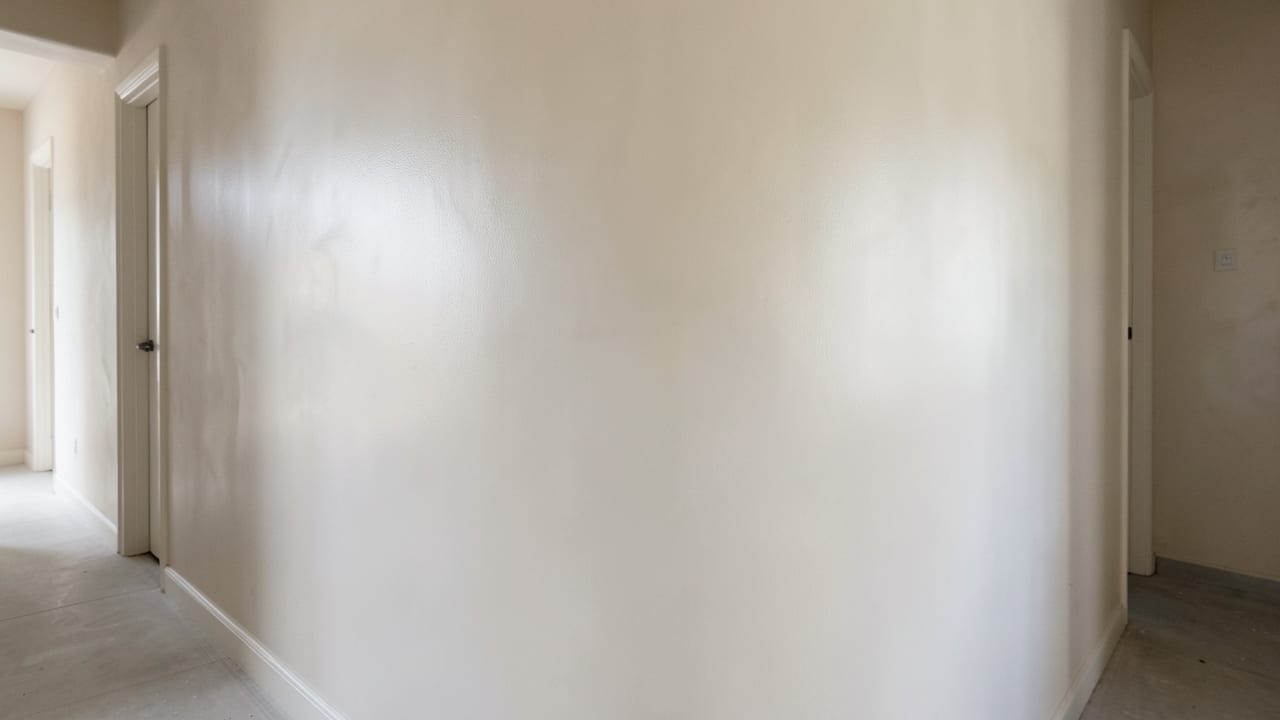 Plaster Mold Remediation in Canyon Lake, CA in Canyon Lake