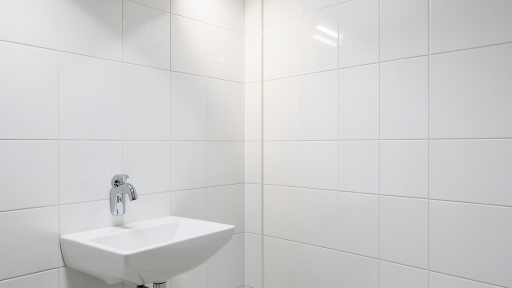 The Science of Safe Mold Removal: What Clarksville DIYers Miss