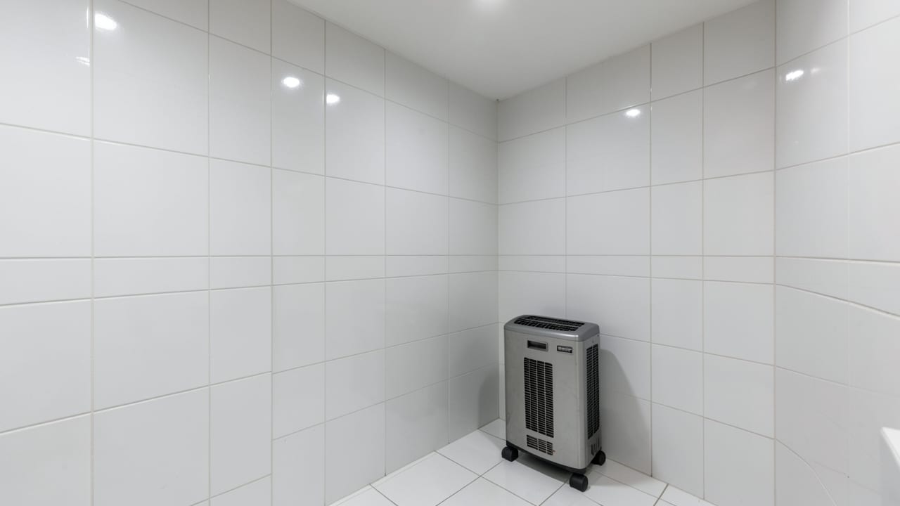 Hotel Mold Remediation in Clarksville, KY in Clarksville