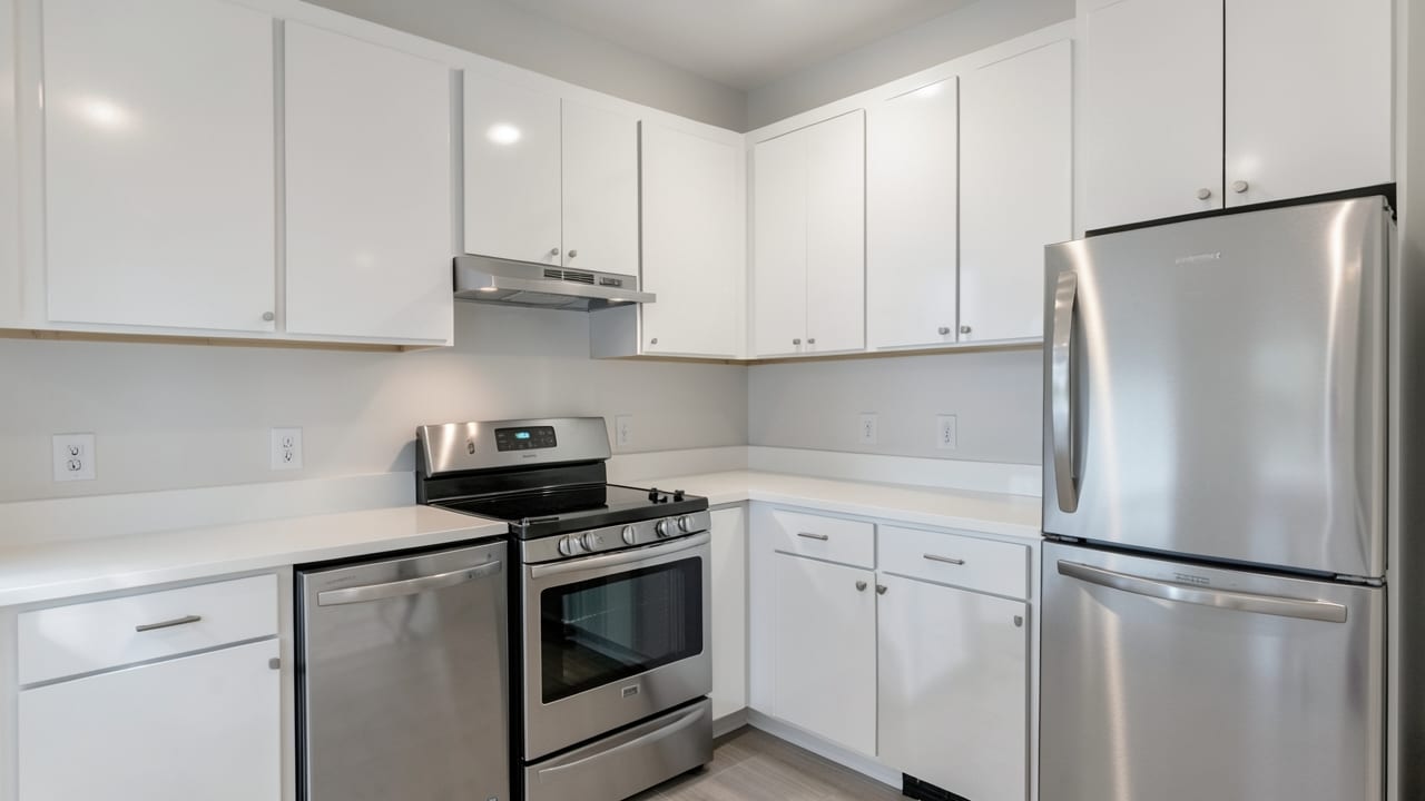 Kitchen Mold Cleanup in Clarksville, KY in Clarksville