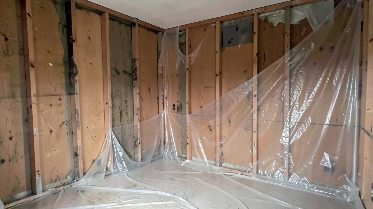 Mold Removal & Remediation in Clarksville, KY in Clarksville