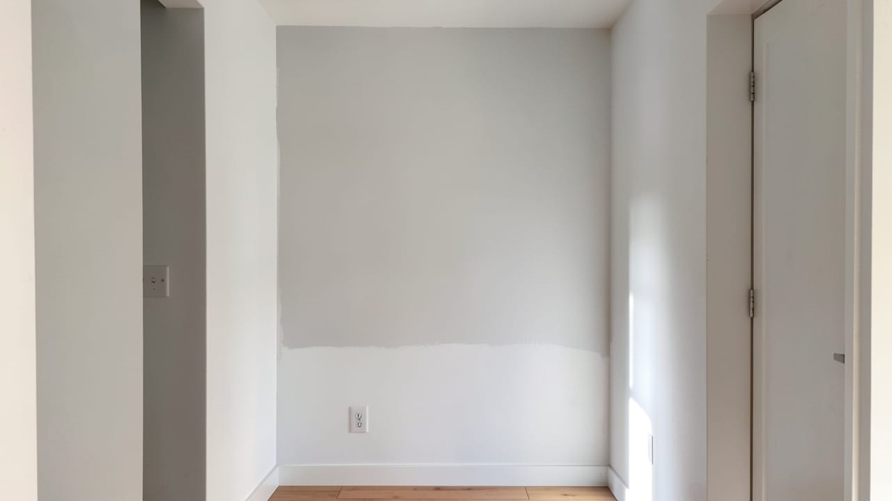 Drywall Mold Remediation in Eddington, PA in Eddington