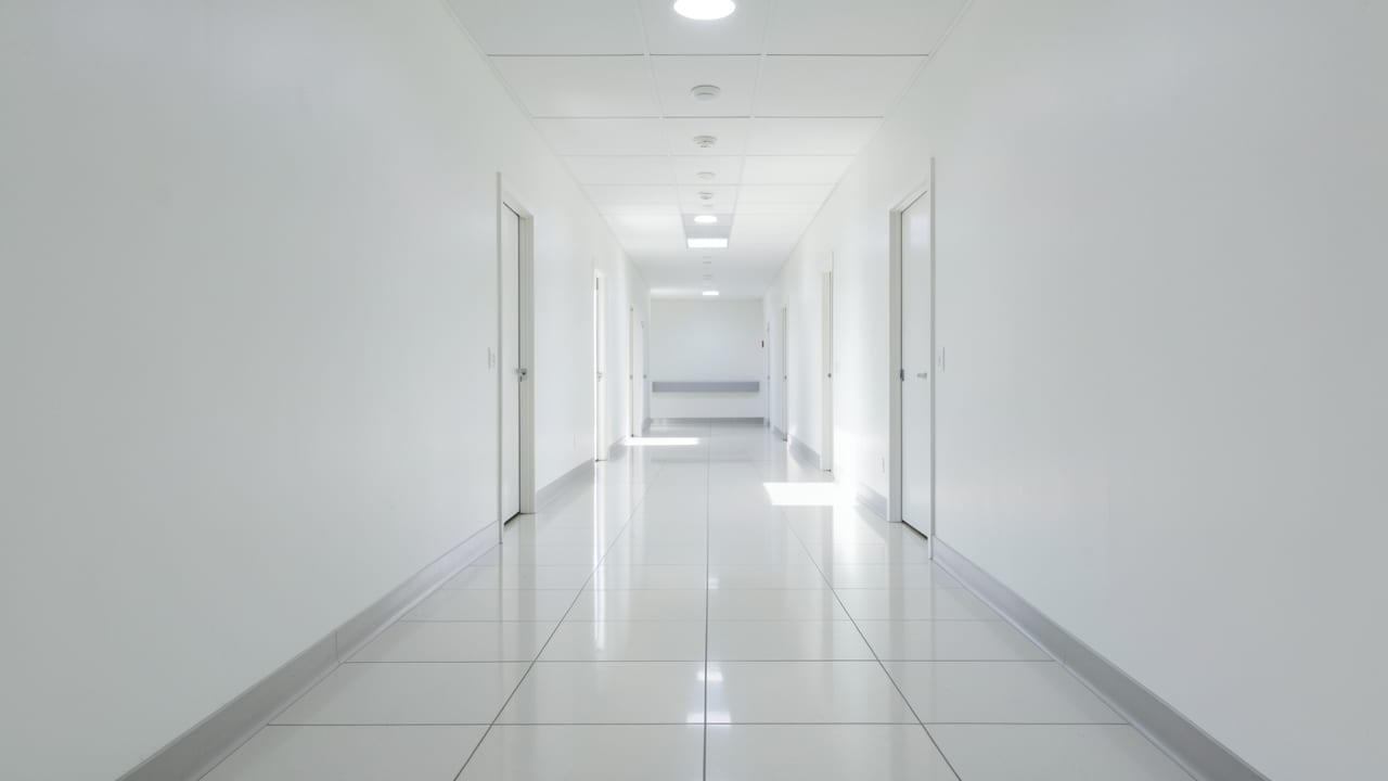 Hospital Mold Removal in Eddington, PA in Eddington