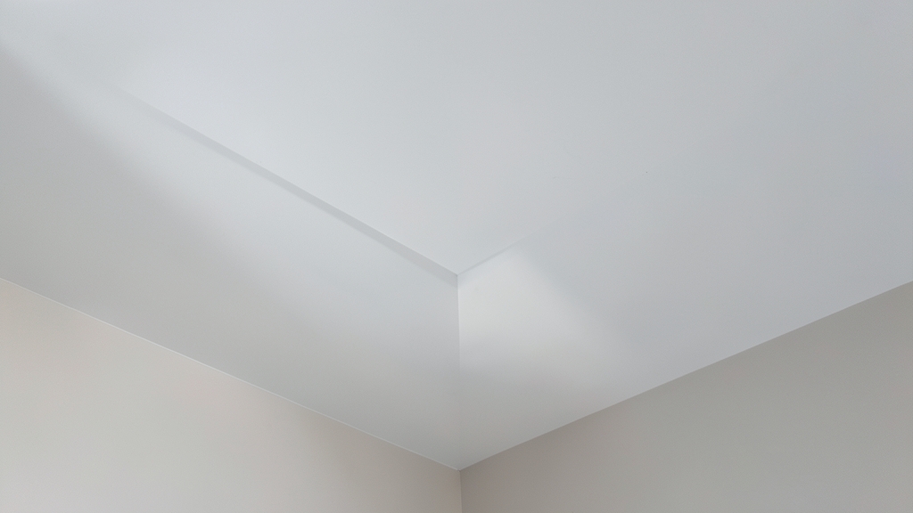 DIY vs. Professional Mold Remediation: What Ellington Homeowners Need to Know
