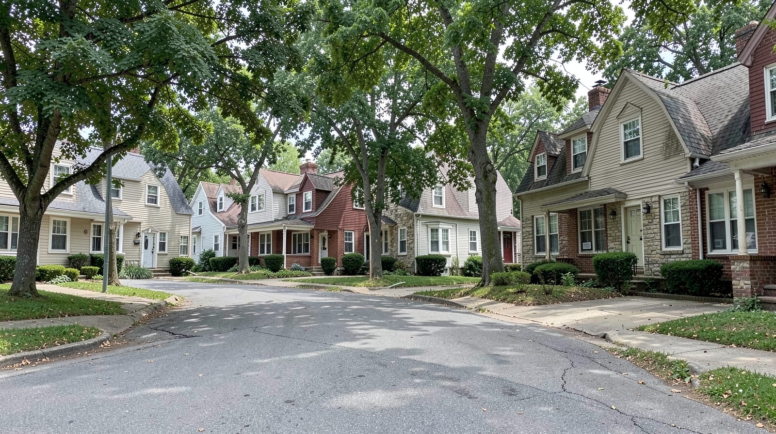 Mold Remediation in Coventry, CT in Ellington