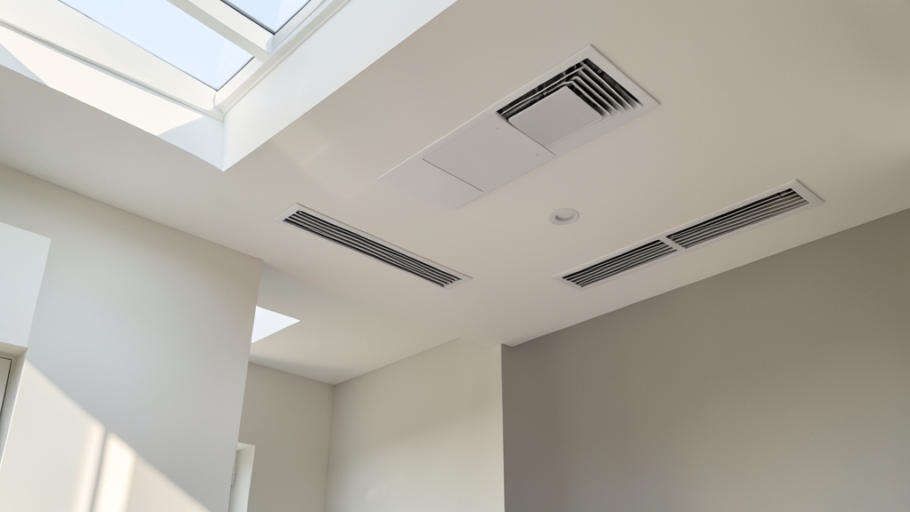 DIY Mold Removal Mistakes That Cost Foley Homeowners More