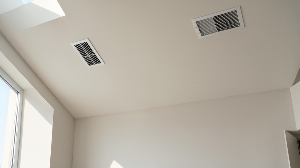 Why Foley’s Humid Summers Demand Extra Mold Prevention Efforts