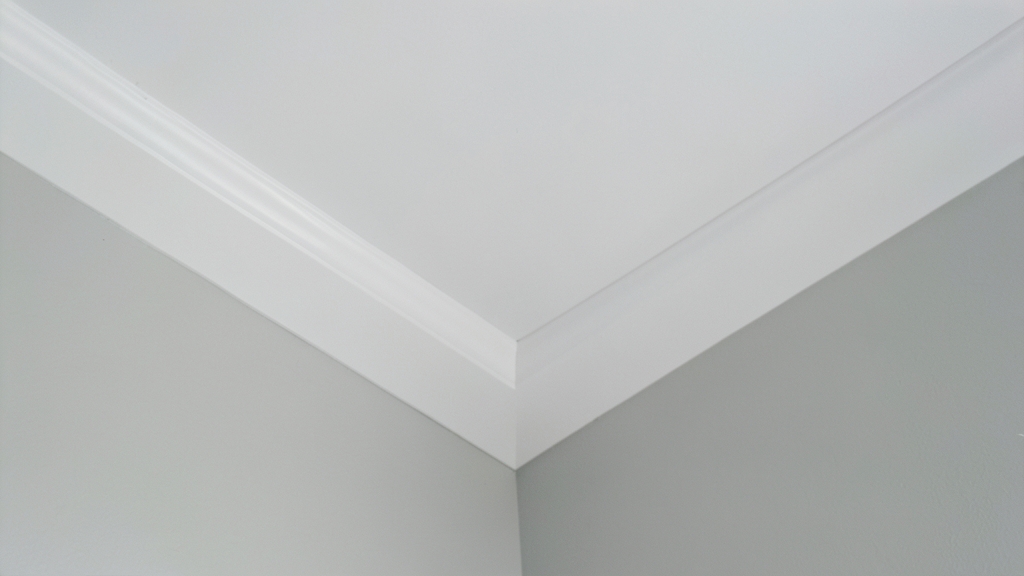 DIY Mold Cleanup in Holly Springs: A False Sense of Security