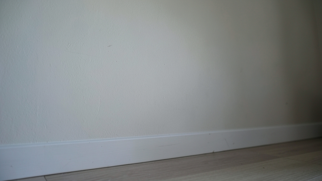 DIY vs. Professional Mold Removal in Holly Springs