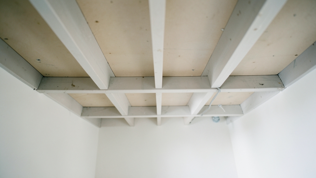 EPA-Compliant Mold Removal for Schools in Holly Springs
