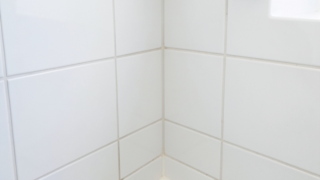 The Hidden Costs of Mold Remediation in Holly Springs You Need to Know