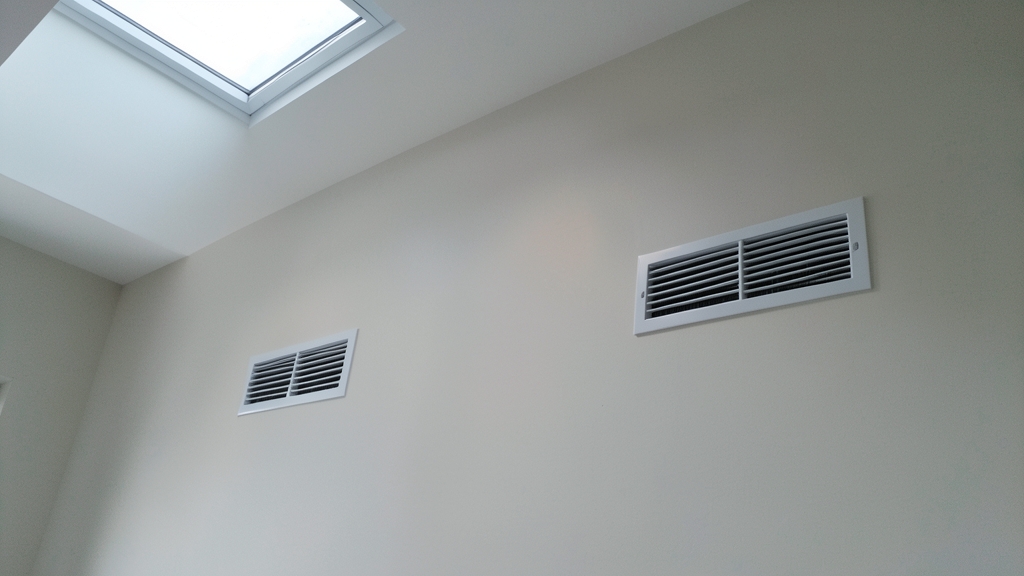 How Professional Mold Inspections Prevent in Holly Springs
