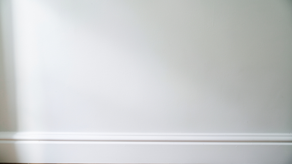 How Mold Inspections Work in Holly Springs