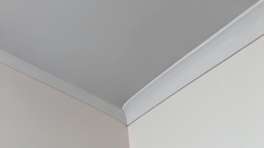 How to Choose the Right Dehumidifier for Your Holly Springs Home Size