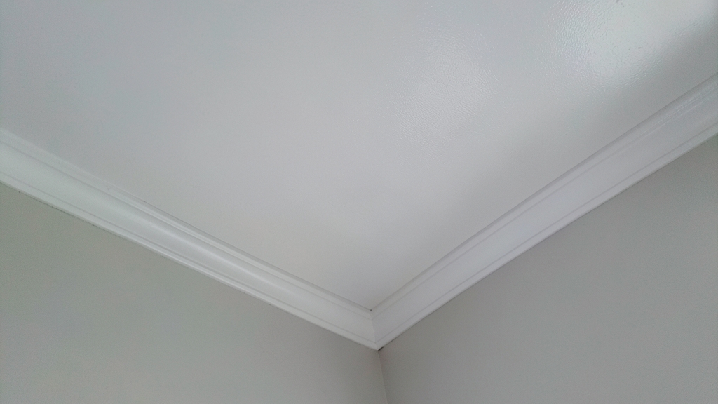 How to Choose a Licensed Mold Remediation Company in Holly Springs