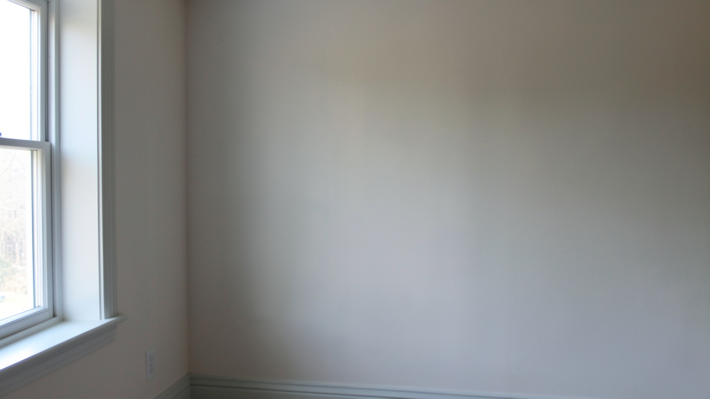 Mold Management Policies for Holly Springs Schools and Public Buildings