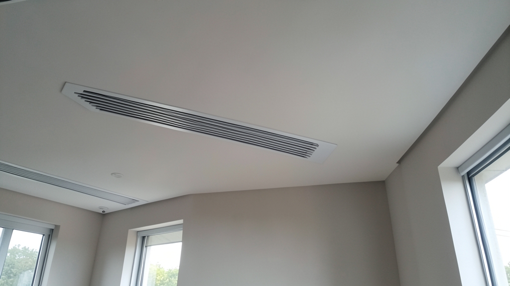 Licensing and Certification Requirements for Mold Remediation in Holly Springs