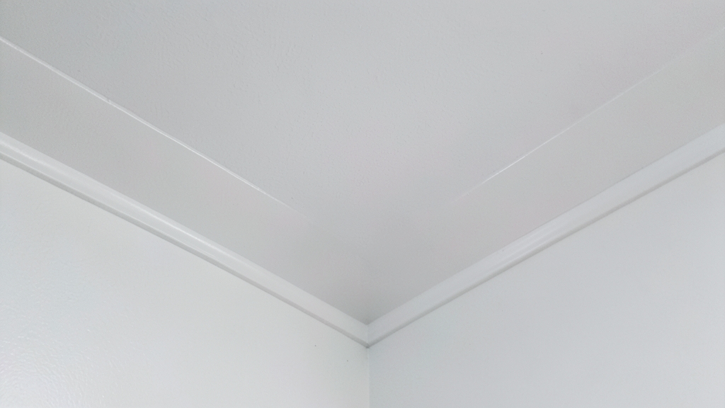 Mold and Your Lungs: Respiratory Risks for Holly Springs