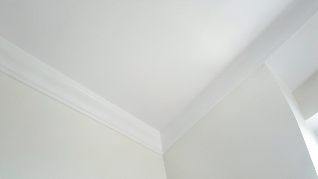 The Hidden Risks of DIY Mold Removal in Holly Springs
