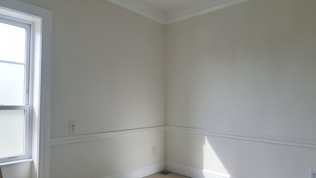 The Hidden Risks of Spreading Mold During DIY Cleanup in Holly Springs