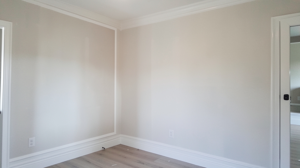 Spore Traps vs. ERMI: Which Mold Test Is Best for Holly Springs Homes?