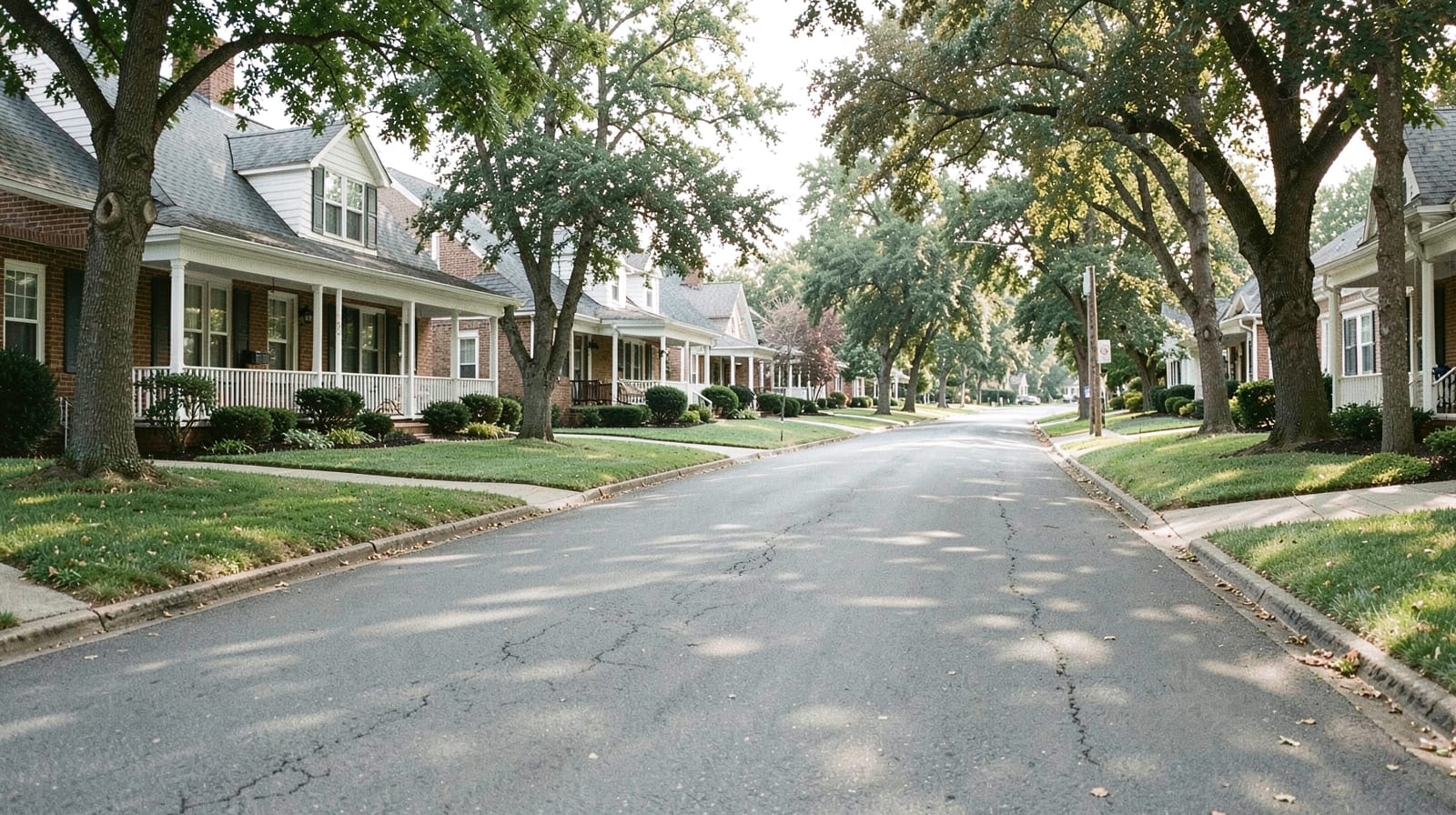 Mold Remediation in Cary, NC