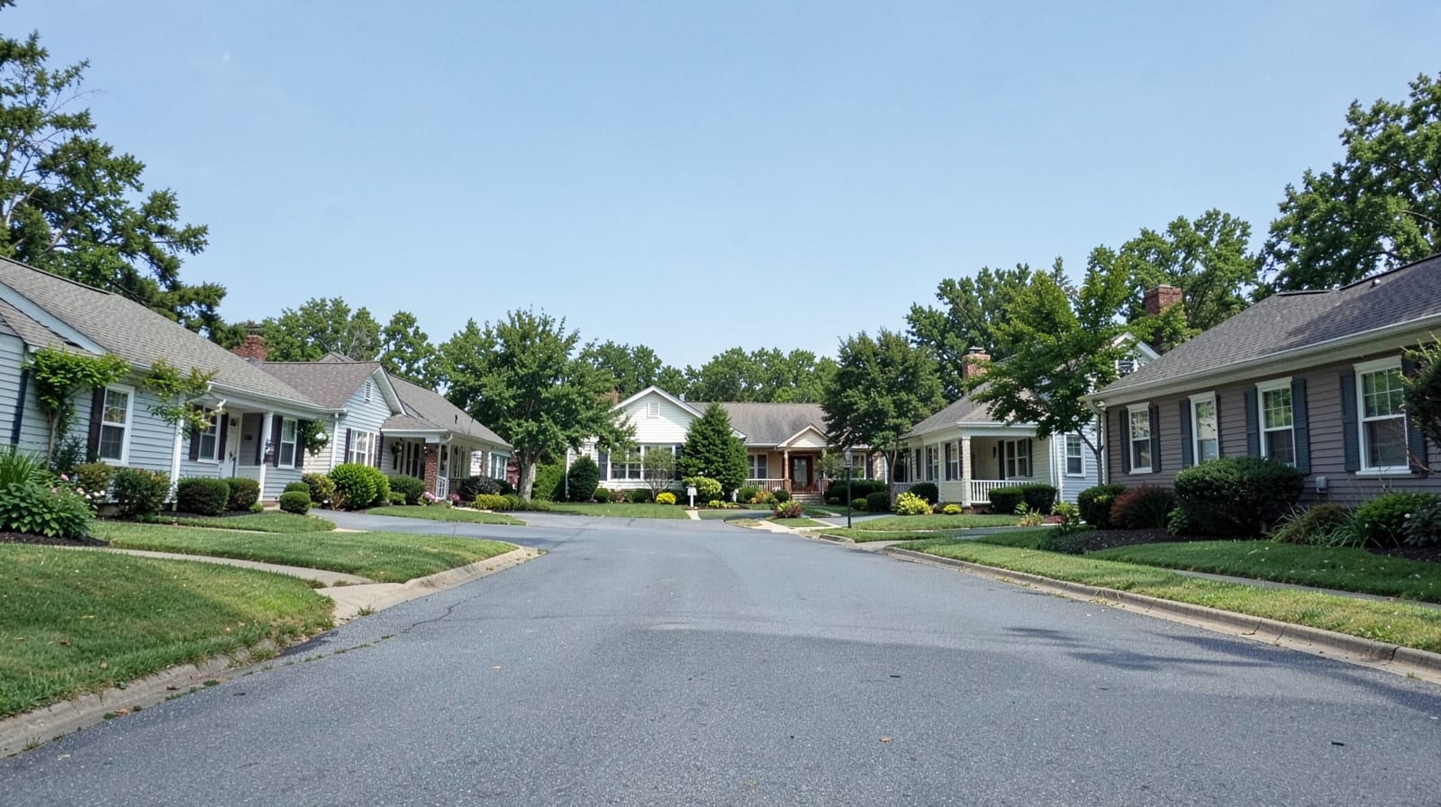 Mold Remediation in New Hill, NC