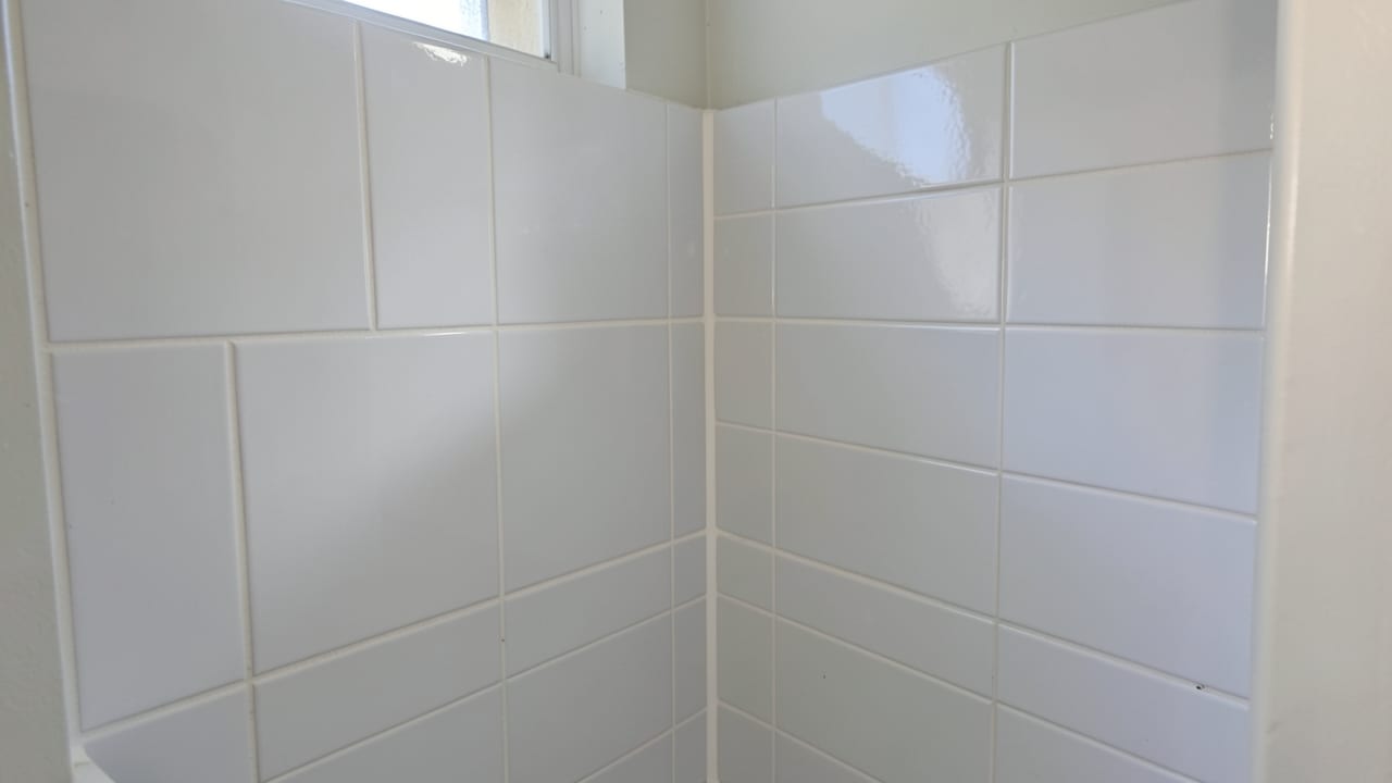 Bathroom Mold Removal in Holly Springs, NC in Holly Springs