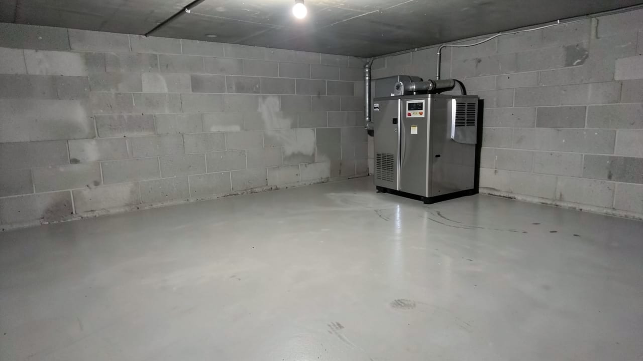 Concrete Mold Remediation in Holly Springs, NC in Holly Springs