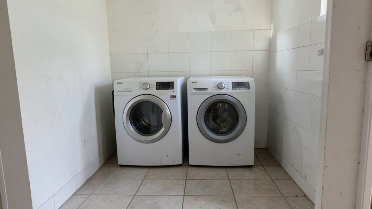 Laundry Room Mold Cleanup in Holly Springs, NC in Holly Springs