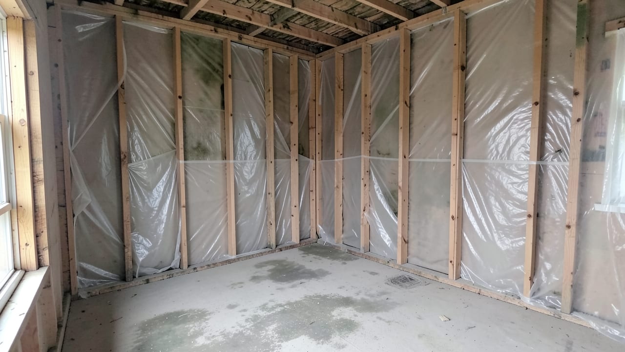 Mold Removal & Remediation in Holly Springs, NC in Holly Springs