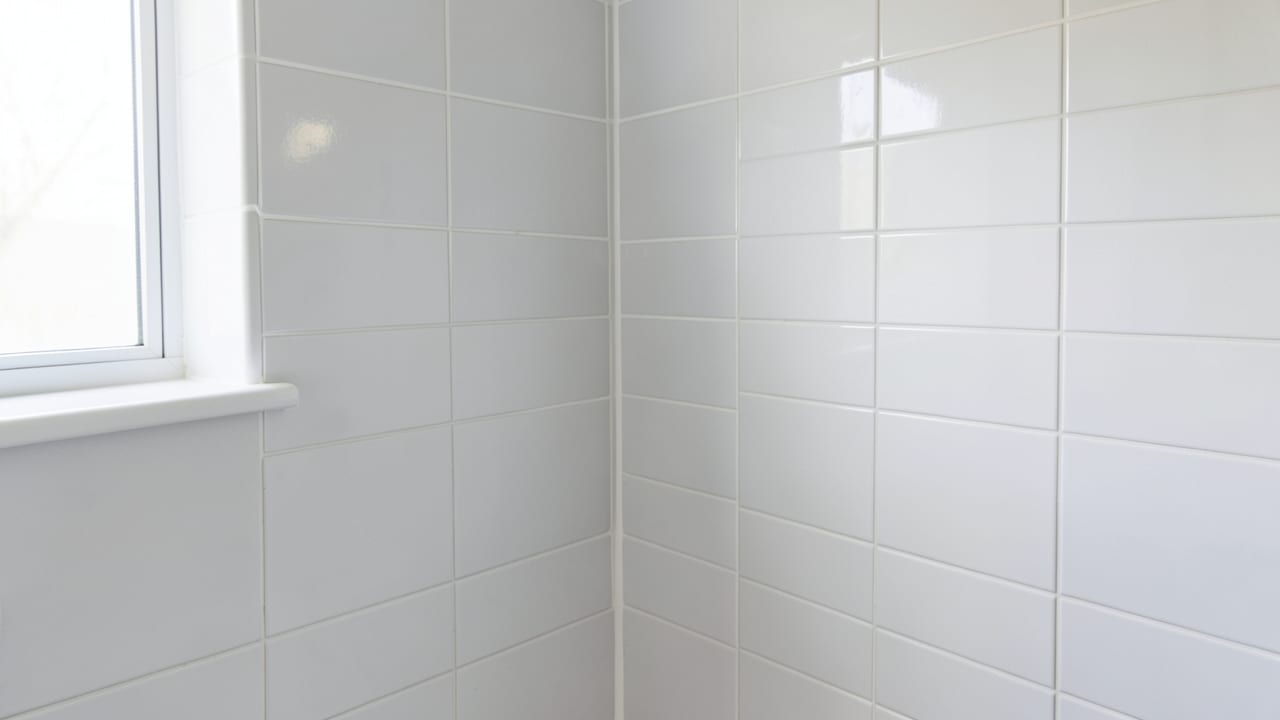 Bathroom Mold Removal in Parsippany-Troy Hills, NJ in Parsippany-Troy Hills