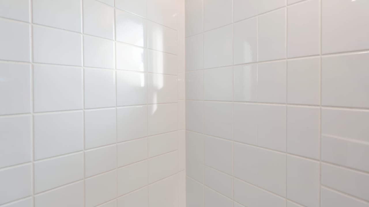 Bathroom Mold Removal in Pawcatuck, CT in Pawcatuck