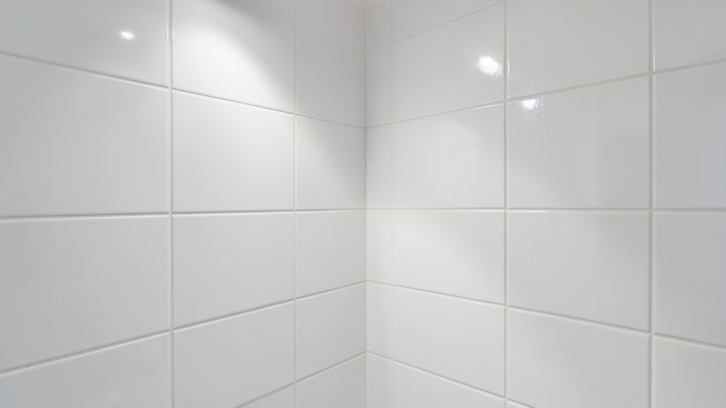 Does Basement Waterproofing in Providence Actually Stop Mold Growth?