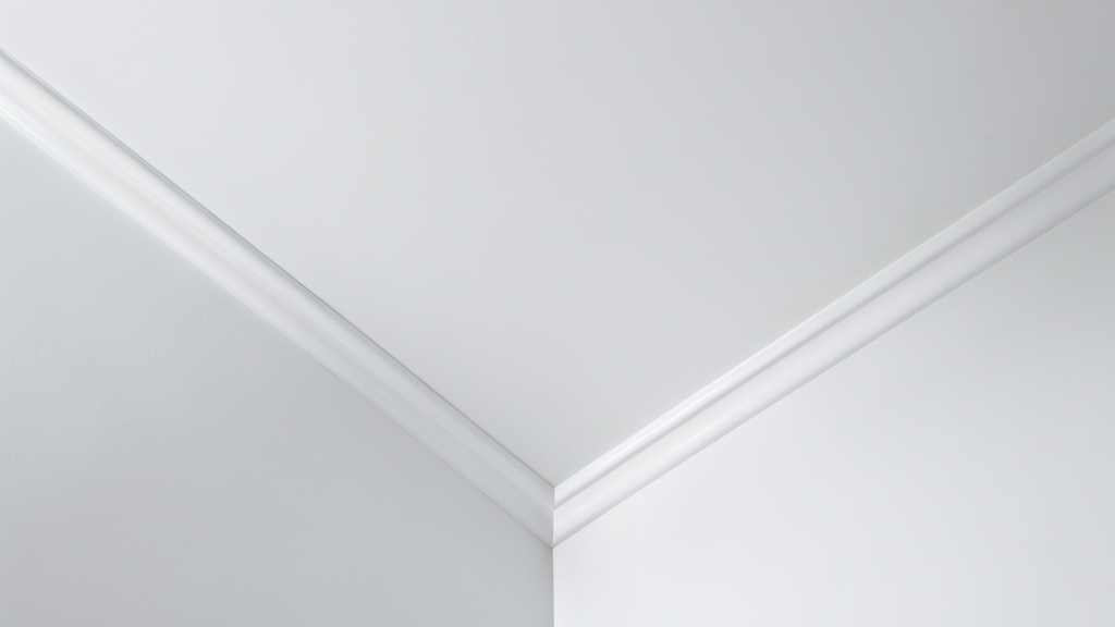 How Mold Remediation Experts Use Containment in Providence