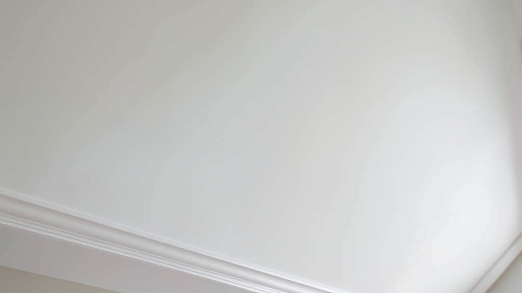 Why Professional Mold Remediation Beats DIY in Providence Every Time