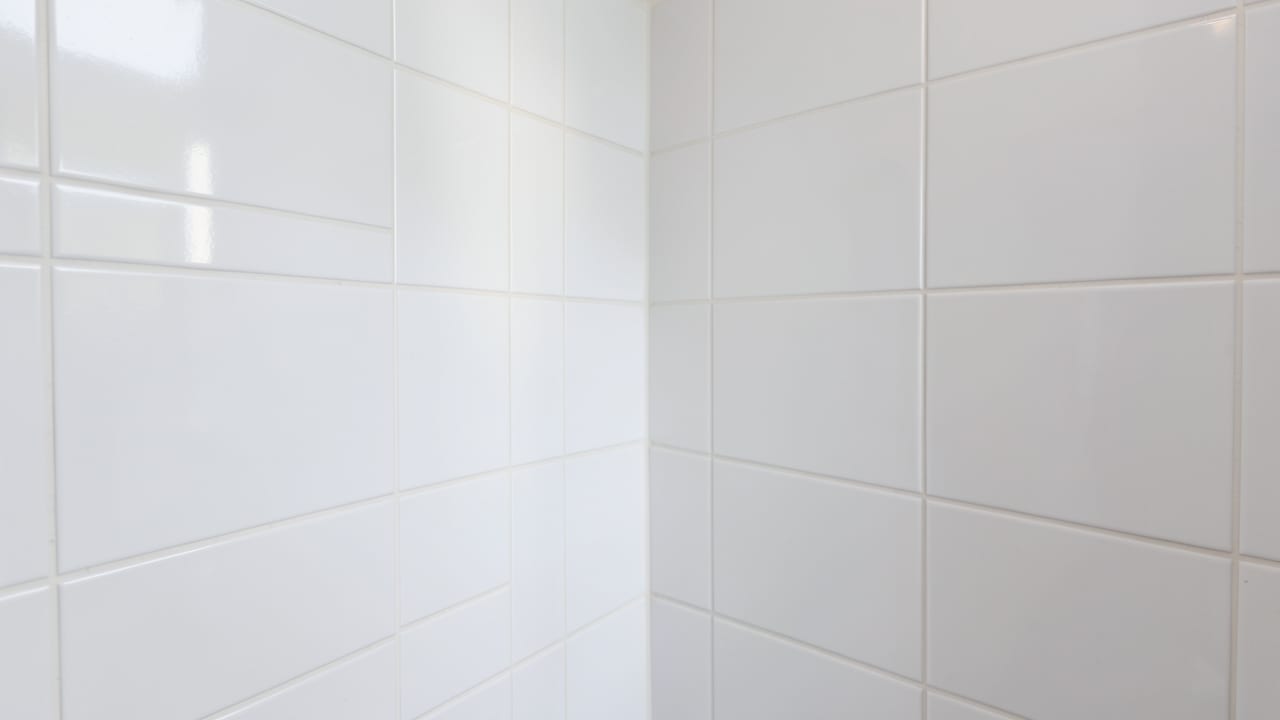 Bathroom Mold Removal in Providence, RI in Providence
