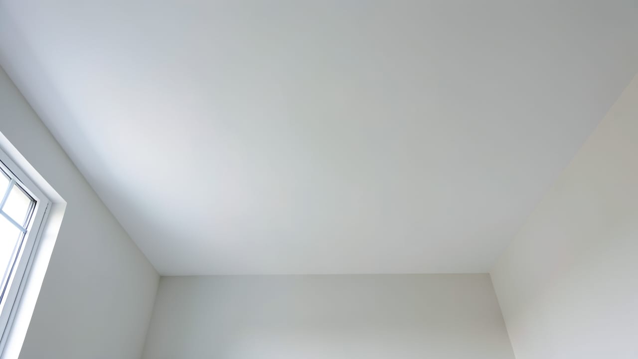 Ceiling Mold Removal in Providence, RI in Providence