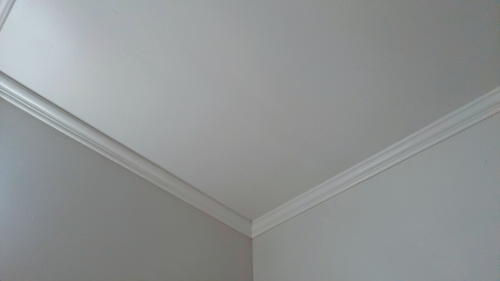 Mold and Mildew Myths Debunked: The Truth for Quincy Homeowners
