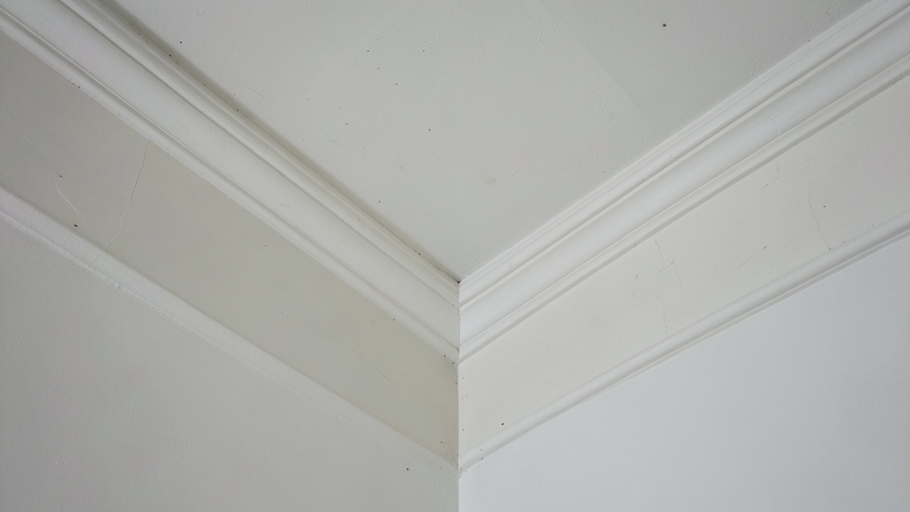 Mold in Your HVAC System: Why Quincy Homeowners Need Professional Remediation