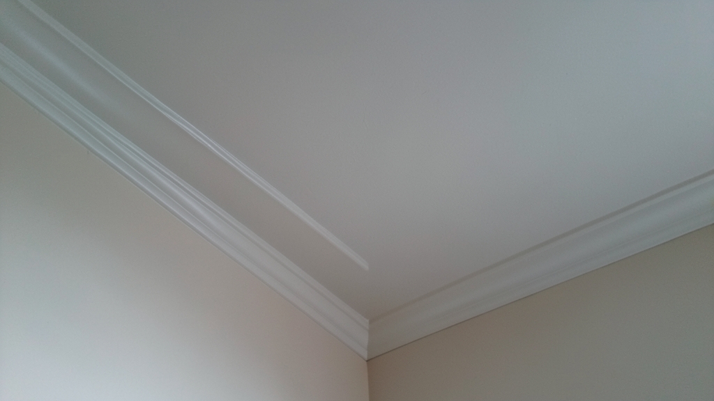The Tools of the Trade: What Mold Inspectors Bring to Your Quincy Home
