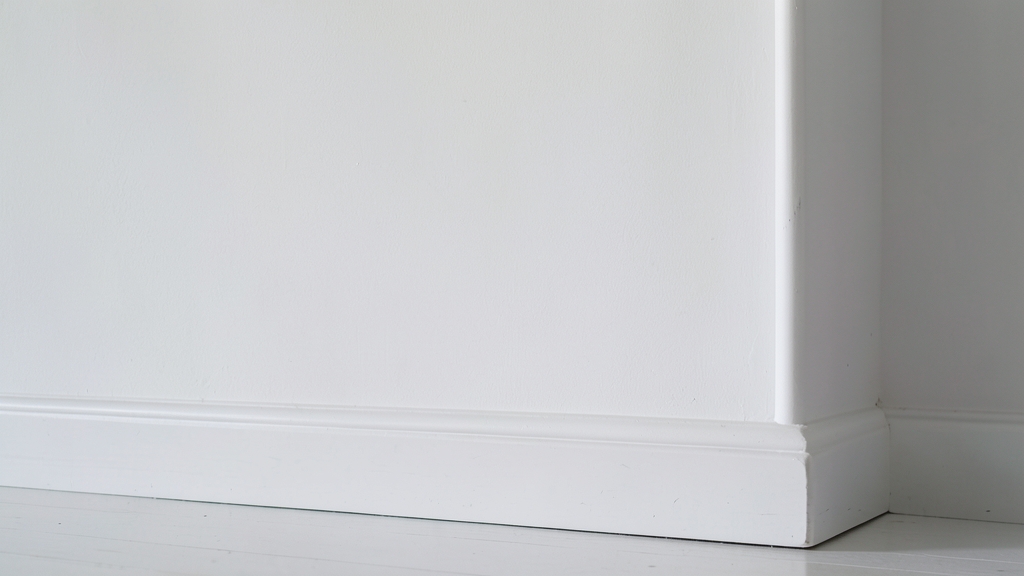 Understanding Mold Removal Costs for Level 1, 2, and 3 Contamination in Quincy
