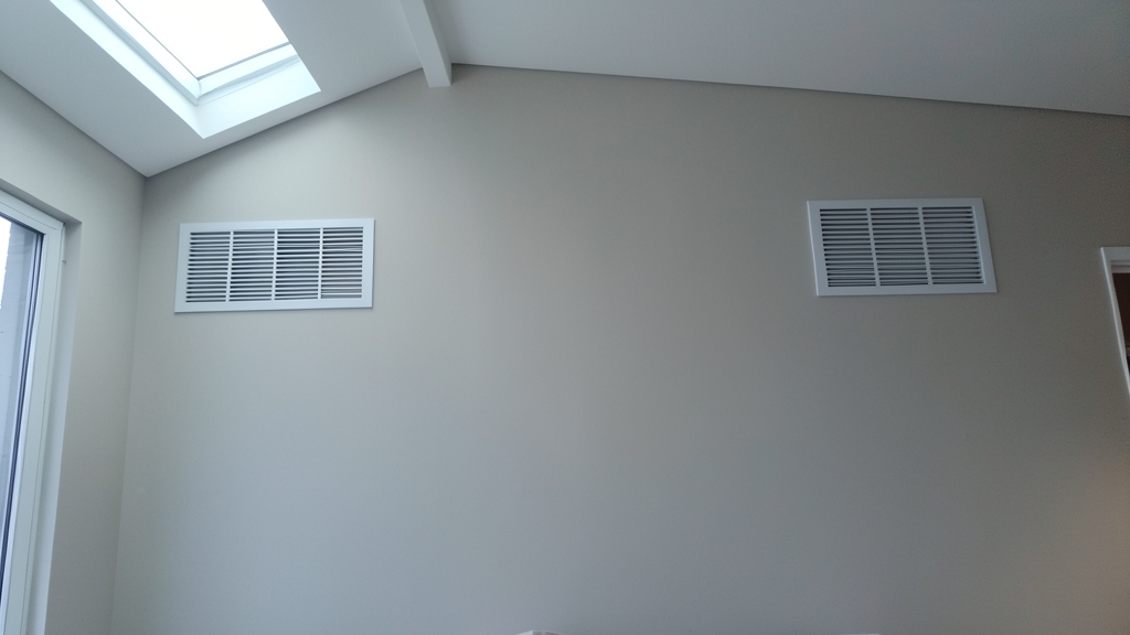 The True Cost of Ignoring Mold in Your Quincy Home