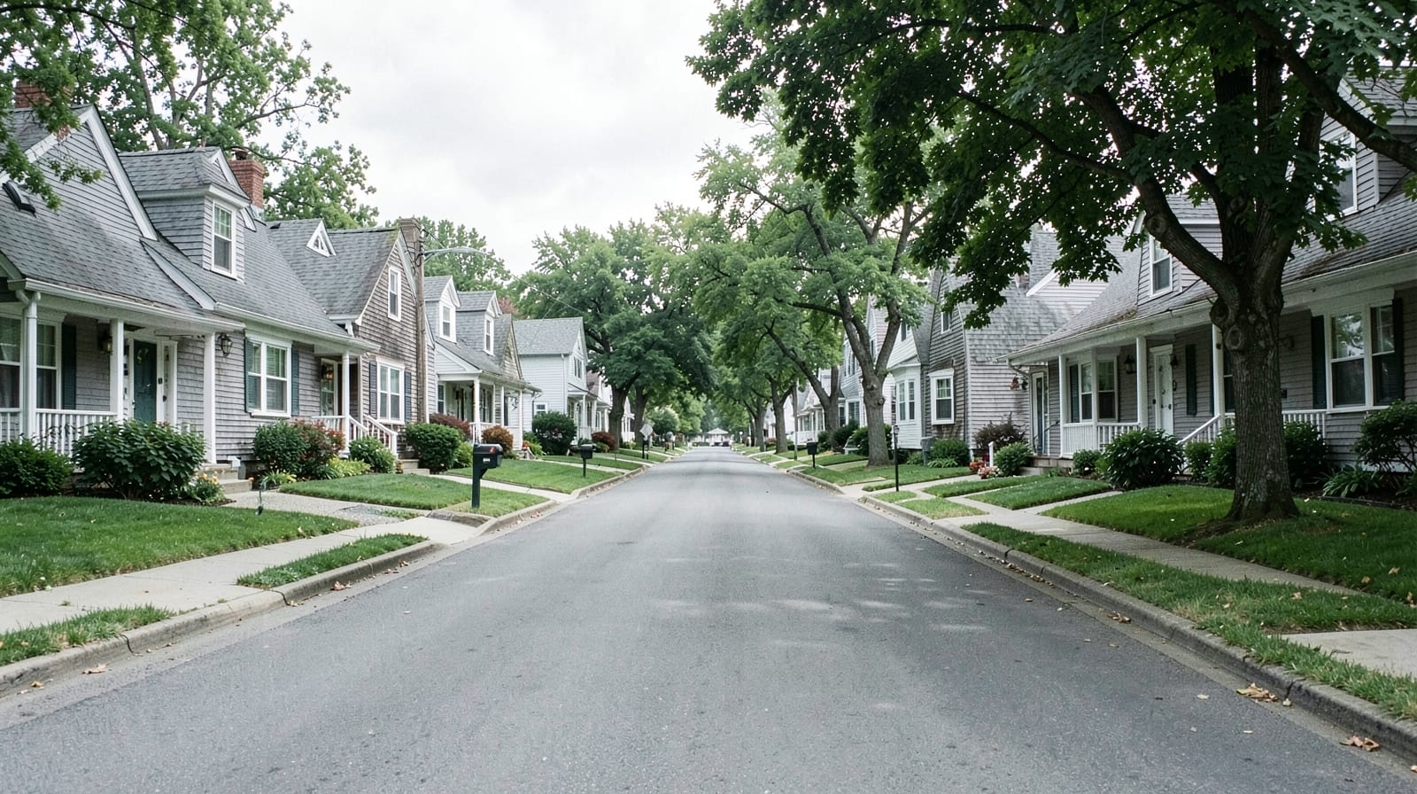 Mold Remediation in Braintree Town, MA in Quincy