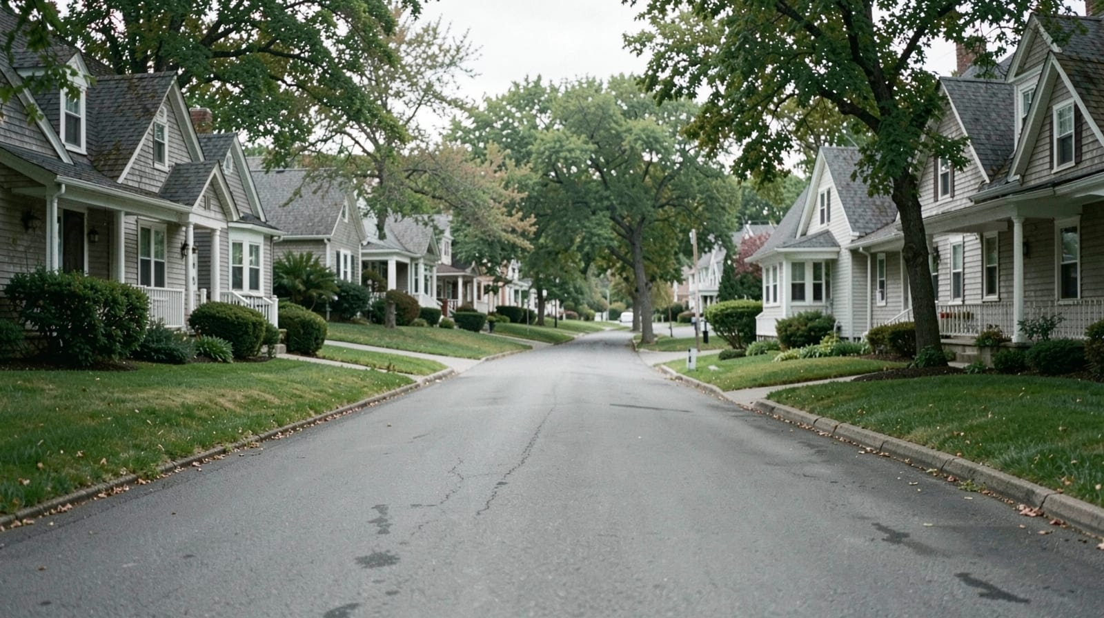 Mold Remediation in Brookline, MA in Quincy