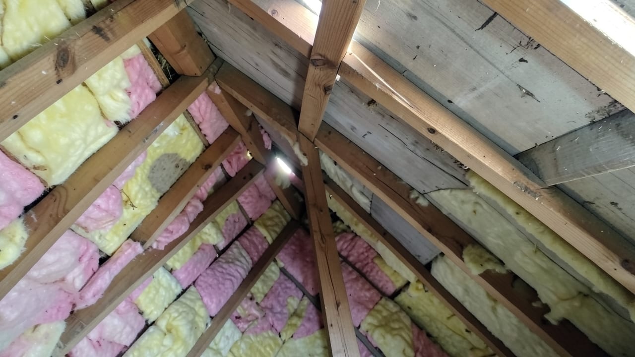 Attic Mold Remediation in Quincy, MA in Quincy