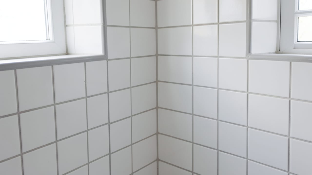 Bathroom Mold Removal in Quincy, MA in Quincy